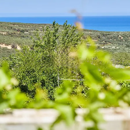Holiday home Elaiona In Countryside With Mountain Views Chania (Crete)