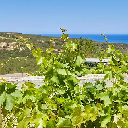 Elaiona In Countryside With Mountain Views Holiday home Chania (Crete)
